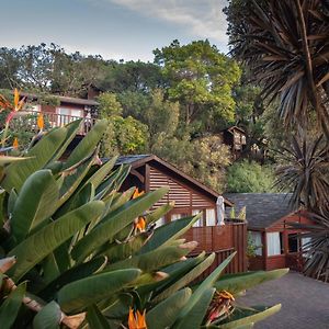 Under Milkwood Resort